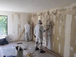  Farragut, TN Mold Removal & Remediation Pros